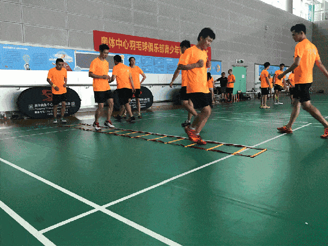 体能训练-上海体育大学招生网(图1)